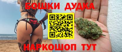 крисы Кинель
