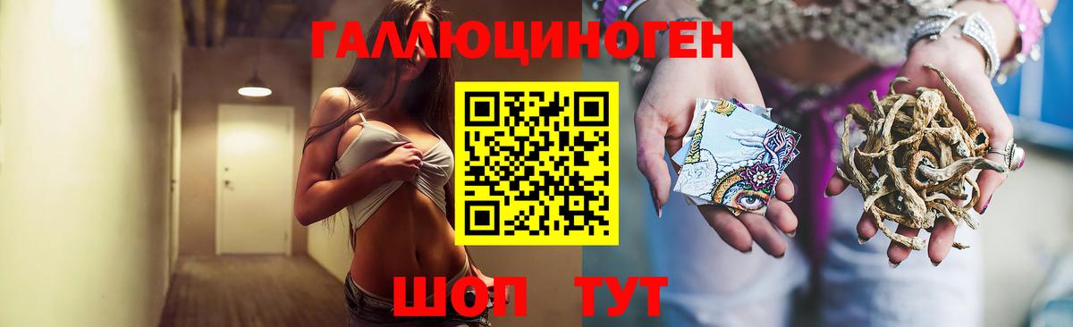 что такое наркотик  Псилоцибиновые грибы Cubensis  Вход с VPN  Киселёвск  Псилоцибиновые грибы Magic Shrooms 